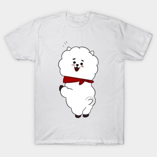 Groovy RJ T-Shirt